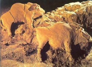 Les bisons du Tuc d'Audoubert